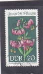 Stamps Germany -  ORQUIDEA