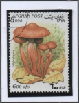 Stamps Afghanistan -  Collibia Fusipes
