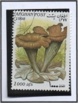 Stamps Afghanistan -  Craterellus Cornucpioides