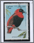 Stamps Afghanistan -  Steganura 