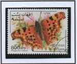 Stamps Afghanistan -  Poligonia c-album