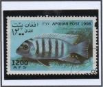 Stamps Afghanistan -  Pseudotropheus cebra