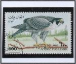 Stamps Afghanistan -  Alcon peregrino