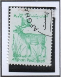 Stamps Afghanistan -  Dama Dama