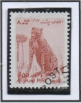 Stamps Afghanistan -  Guepardo