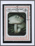 Sellos de Asia - Afganistn -  Agaricus campestria