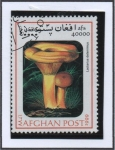 Stamps Afghanistan -  lactarius deterrimus