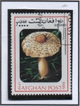 Stamps Afghanistan -  Lepsta nuda