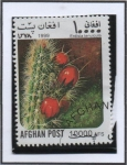 Sellos de Asia - Afganist�n -  Cactus : Erdisia tenuicul