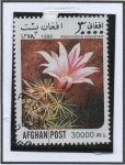 Stamps Afghanistan -  Cactus : Mammillaria yaquensis