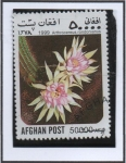 Stamps Afghanistan -  Cactus : Arthrocereus rondonianus