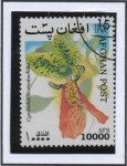 Stamps Afghanistan -  Orquidias : Cymbidiella rhodochilla