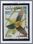 Stamps Afghanistan -  Orquidias : Lycate Lasiogossa