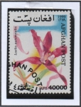 Stamps Afghanistan -  Orquidias : Laelia autumnalis