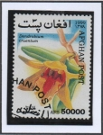 Stamps Afghanistan -  Orquidias : Dedrobium cruentum