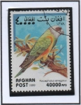 Stamps Afghanistan -  Loros : Poicephalus senegatus