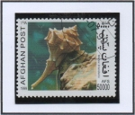 Stamps Afghanistan -  Moluscos : Murex brandaris