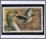 Stamps Afghanistan -  Anser Anser