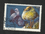 Stamps Russia -  4176 - Fauna rusa