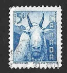 Sellos de America - Canad� -  361 - Cabra de Blanca
