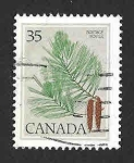 Stamps Canada -  721 - Pino Canadiense