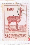 Stamps Peru -  Vicuña SP simbolo del Escudo Nacional y productora de la lana más fina