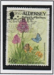 Stamps United Kingdom -  Polyommatus Icarus
