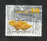 Sellos de Europa - Suiza -  2264 - Setas Cantharellus cibarius
