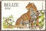 Stamps America - Belize -  Tigre
