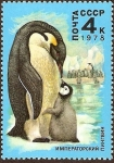Stamps Russia -  Pingüino
