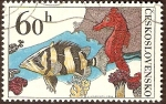 Stamps Czechoslovakia -  Aquarium