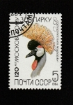 Stamps Russia -  Grulla coronada