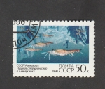 Stamps Russia -  Biologia marina