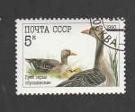 Stamps Russia -  Ocas