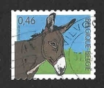 Stamps Belgium -  2132 - Asno