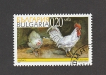 Stamps Bulgaria -  Gallos domésticos