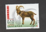 Stamps Bulgaria -  Capra ibex