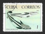 Stamps Cuba -  1047 - Peces en el Acuario Nacional