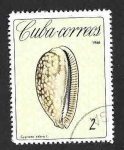 Sellos de America - Cuba -  1125 - Conchas Marinas