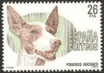 Stamps Spain -  2713 - Perro de raza española, Podenco Ibicenco