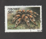 Stamps Tanzania -  Tarántula