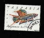 Stamps Tanzania -  Panchax cola de lira