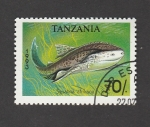 Stamps Tanzania -  Tiburón angel africano