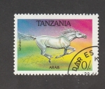 Sellos de Africa - Tanzania -  Caballo raza  árabe