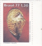 Sellos de America - Brasil -  concha strombus  goliath