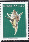 Stamps Brazil -  concha Murex tenuivaricosus