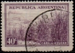 Sellos de America - Argentina -  Caña d' Azucar