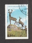 Stamps Cuba -  55 aniv. del Jardín Zoológico de La Habana