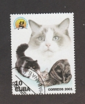 Sellos de America - Cuba -  Asociación de aficionados a loa gatos