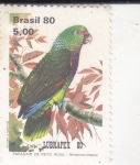 Stamps Brazil -  Papagayo de pecho rojo